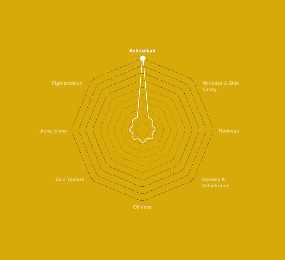 Universkin - Oxidative Stress